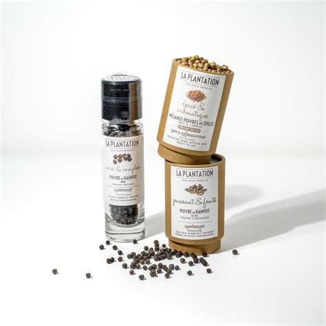 Pipirų daigų auginimas