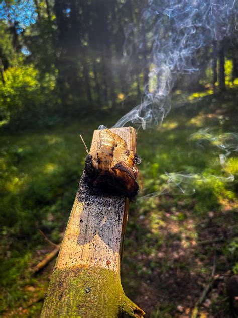 Nuotrauka, vaizduojanti laivus ant vandens