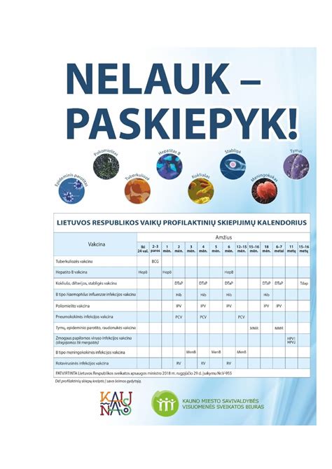 Infografika apie automobilių priežiūros svarbą