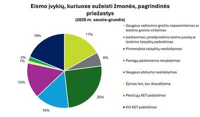 Dažniausios eismo įvykių priežastys žiedinėse sankryžose
