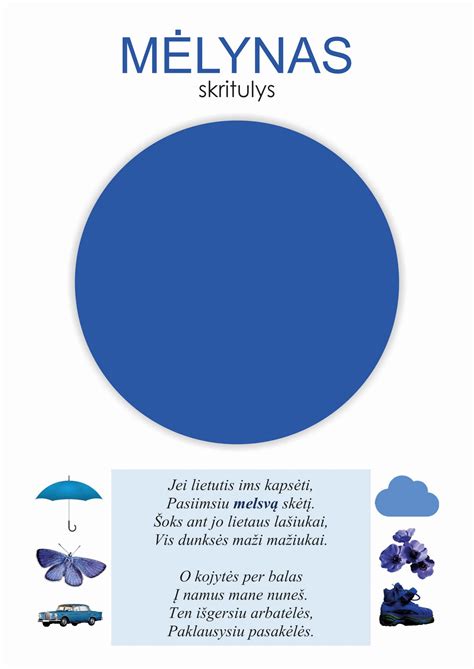 Vėjo deflektorių spalvos ir formos