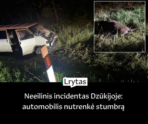Smarkiai sumaitotas automobilis po avarijos