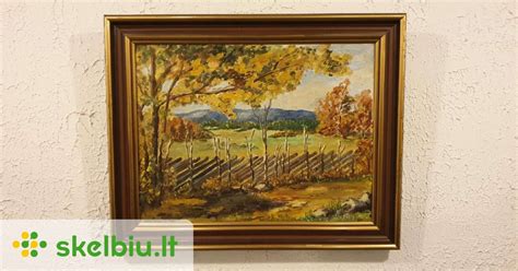 Įvairūs automobilių paveikslai