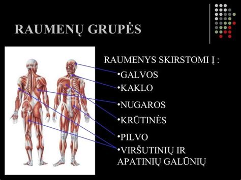 Schema: Raumenų grupės, kurios dirba plaukiant