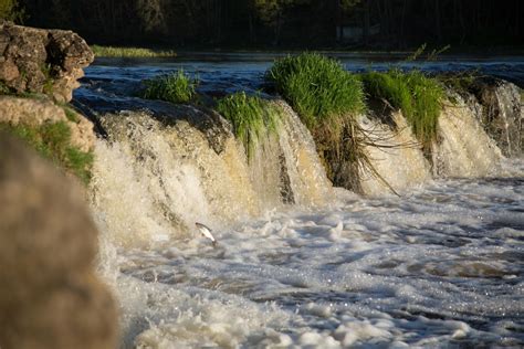 Ventos krioklys Kuldigoje