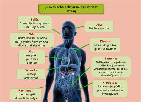 Grafikas, rodantis alkoholio poveikį žmogaus reakcijos laikui ir koordinacijai