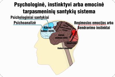 Schema: Automobilių svarstyklių tipai