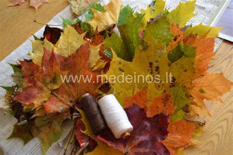 Medžio lapų spalvų spektras rudenį