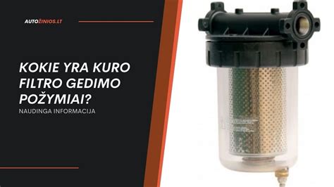 Automobilio kuro filtro vietos paieška