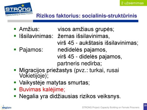 Schema, iliustruojanti rizikos faktorius, įtakojančius draudimo kainą