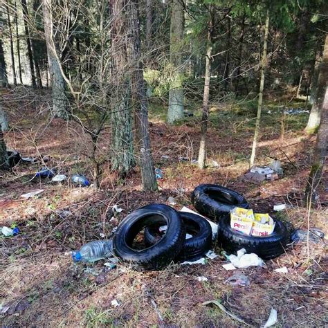 Simbolis, nurodantis padangų keitimo laikotarpį