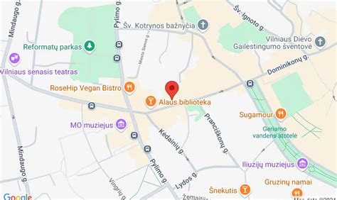 Žemėlapis su nurodytu serviso adresu Vilniuje