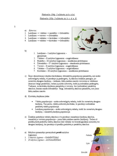 Schema aplinkosaugos aspektų identifikavimo ir vertinimo