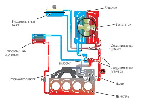 Схема системы охлаждения Honda FR-V