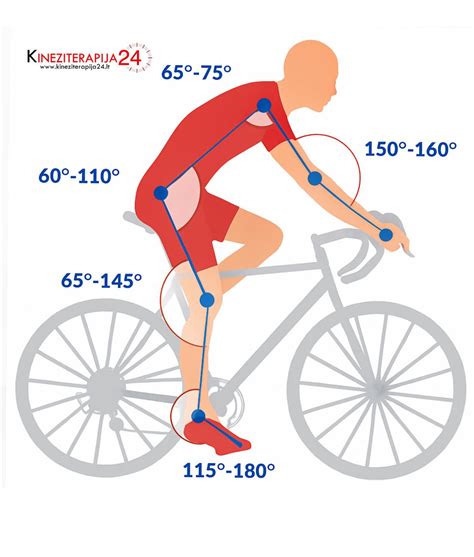 Dviračio sėdynės ir vairo aukščio palyginimas