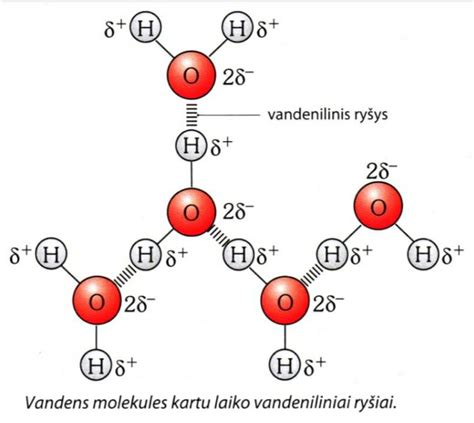 Propilenglikolio molekulės struktūra
