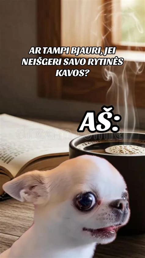 Juokingi automobiliai