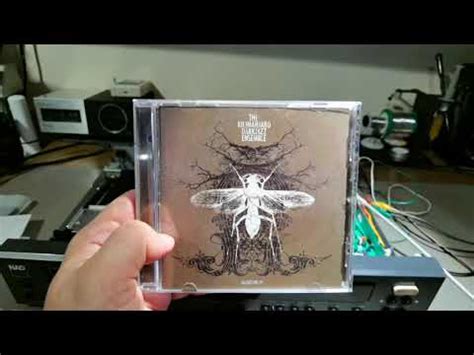 CD grotuvo diagnostika