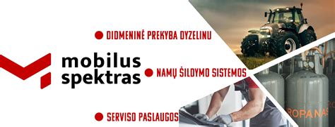 Serviso paslaugų spektras