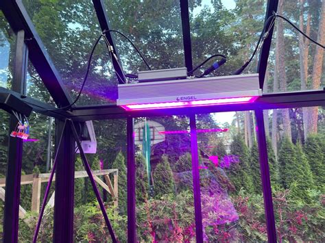 LED lempos radiatorius