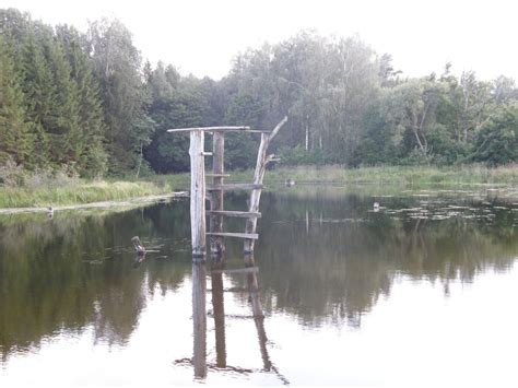 Nuotrauka, vaizduojanti užterštą vandens telkinį