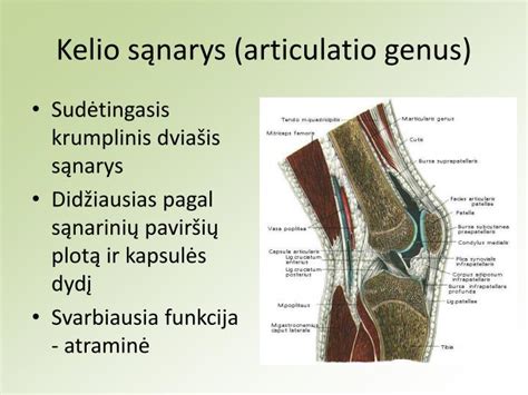 Kelio duobė ir pažeista padanga
