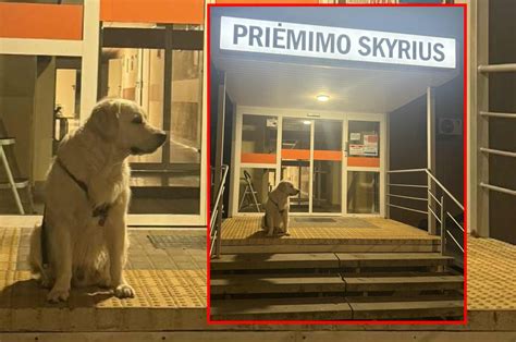 Nuotrauka su kurmiu
