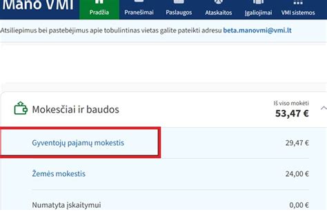 Mano VMI prisijungimo langas
