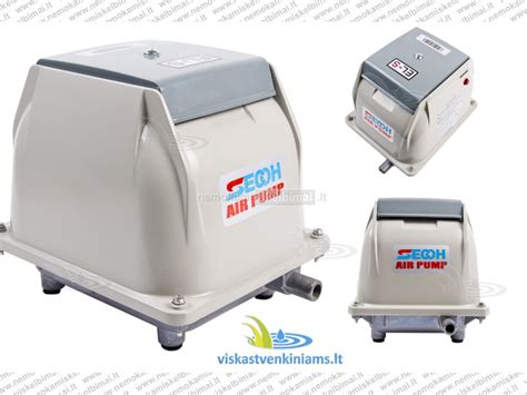 Orapūtės SECOH vidinė sandara