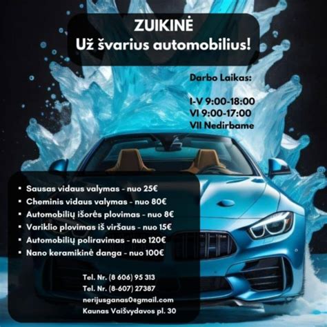 automobilio plovimas kaime