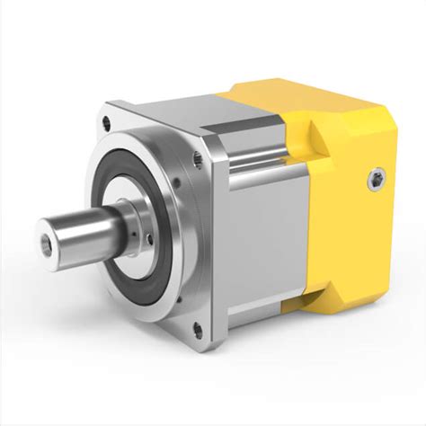 Servo pavaros schematinis pavaizdavimas