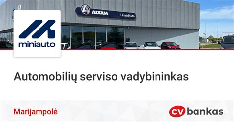Automobilių serviso logotipas