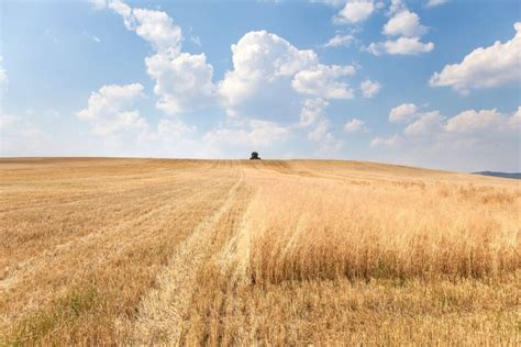 Infografika su DPF filtro supirkimo kainos priklausomybe nuo įvairių veiksnių