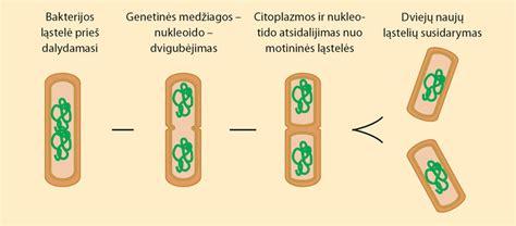 Pusiau nepriklausomos pakabos schema