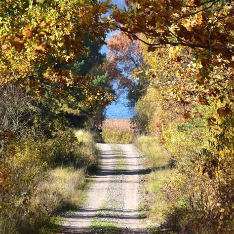 Vieškelis tarp laukų