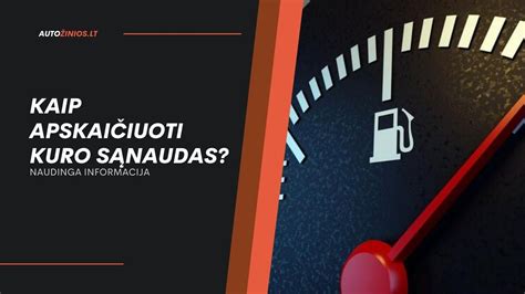 Infografika apie kuro sąnaudas