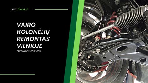 Vairo kolonėlės sandara ir veikiantys elementai