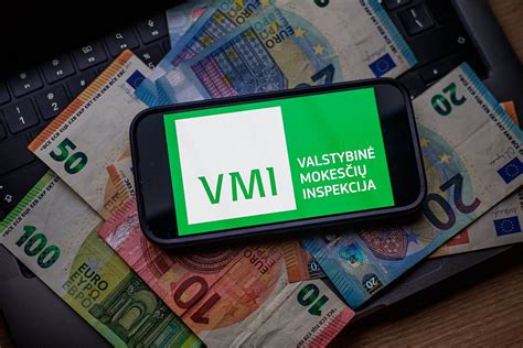 VMI sistemos ekranvaizdis su mokėjimų istorija