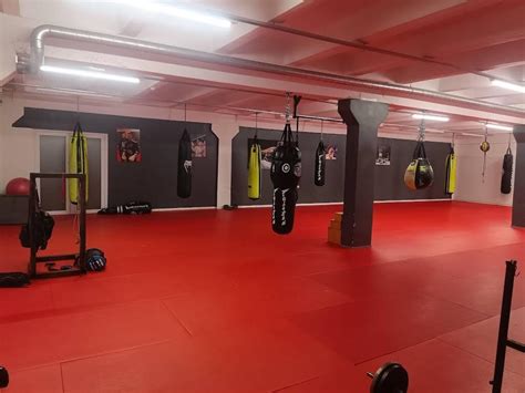 Įvairių tipų bokso kriaušių iliustracija