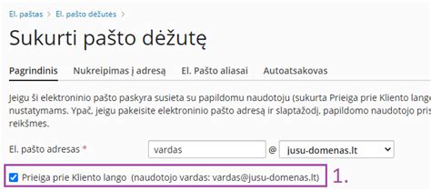 Schematinis pavaizdavimas, kaip atrodo prisijungimo langas prie el. pašto.