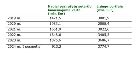 Lizingo sutarčių vidutinė vertė