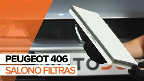 Salono filtras Peugeot 406