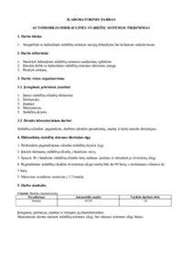 Automobilio stabdžių sistemos patikrinimas