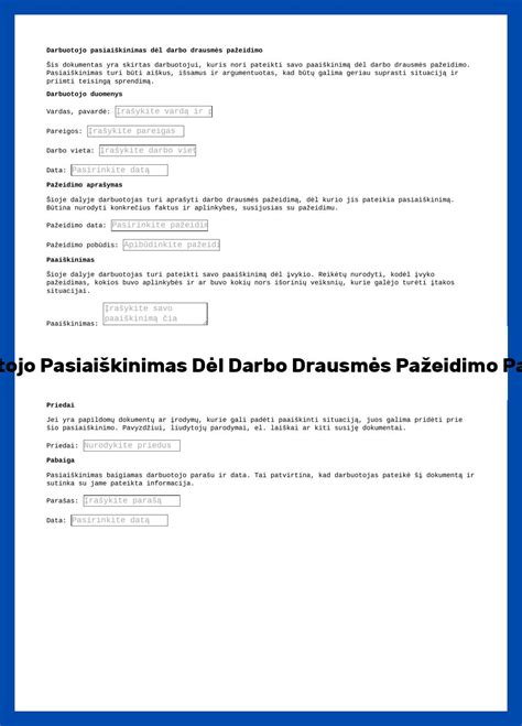 pavyzdys užpildyto pažeidimo aprašo