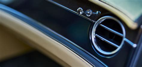 Vabzdžių likučių valymas nuo automobilio