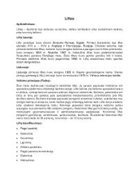 Istorija ir veikimo principas