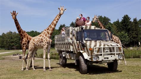 Serengeti Park safari